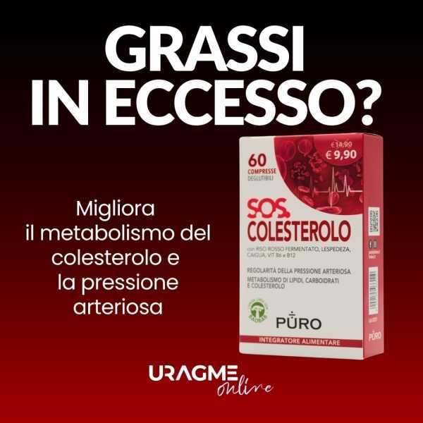 SOS COLESTEROLO PURO